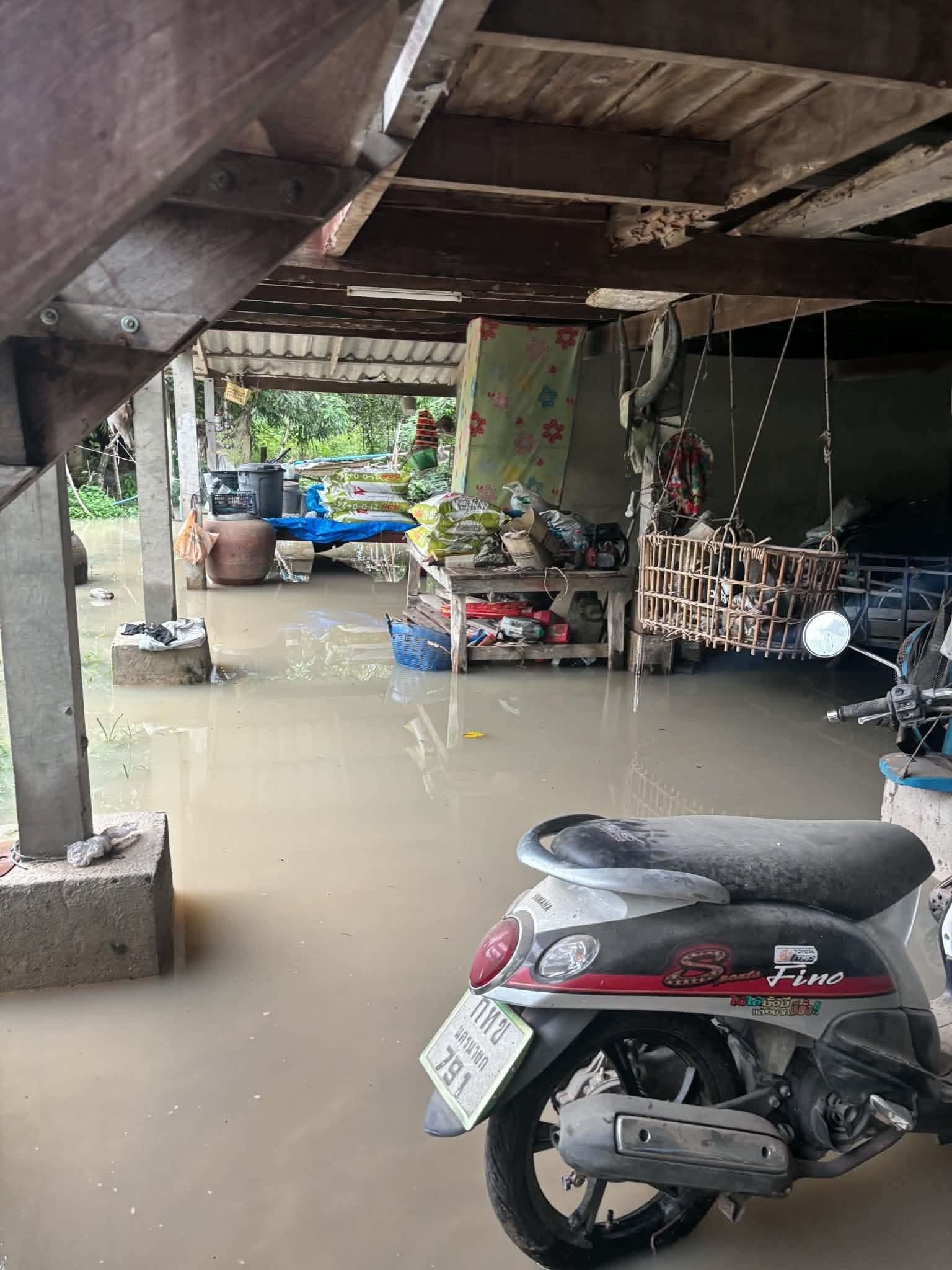 ถามบ้านคนที่ได้ แบบนี้เรียกท่วมยังครับ  ที่ไหนผ่านบ้าง แต่ที่
