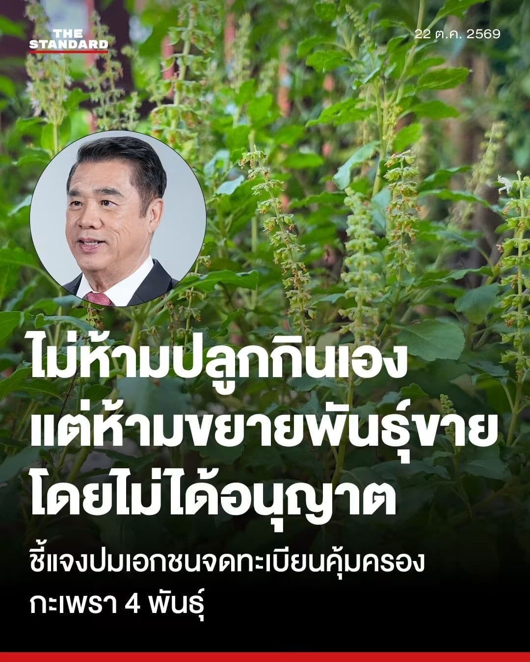 เมื่อรัฐมนตรีเกษตรและสหกรกรณ์ แจงจดทะเบียนกระเพรา 4 พันธ์