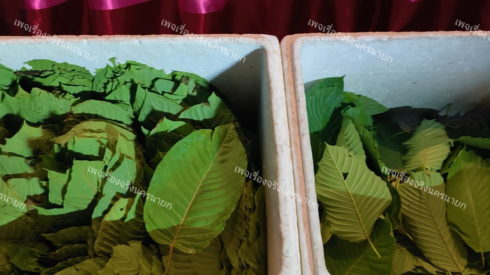 ตำรวจสืบสวนนครนายก บุกจับคาบ้าน!
